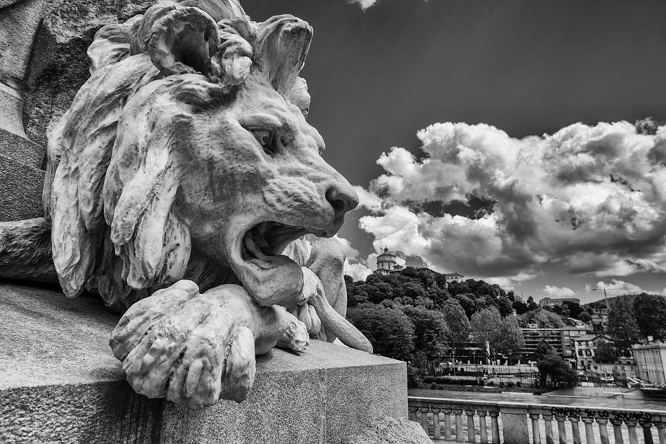 Il leone di Torino